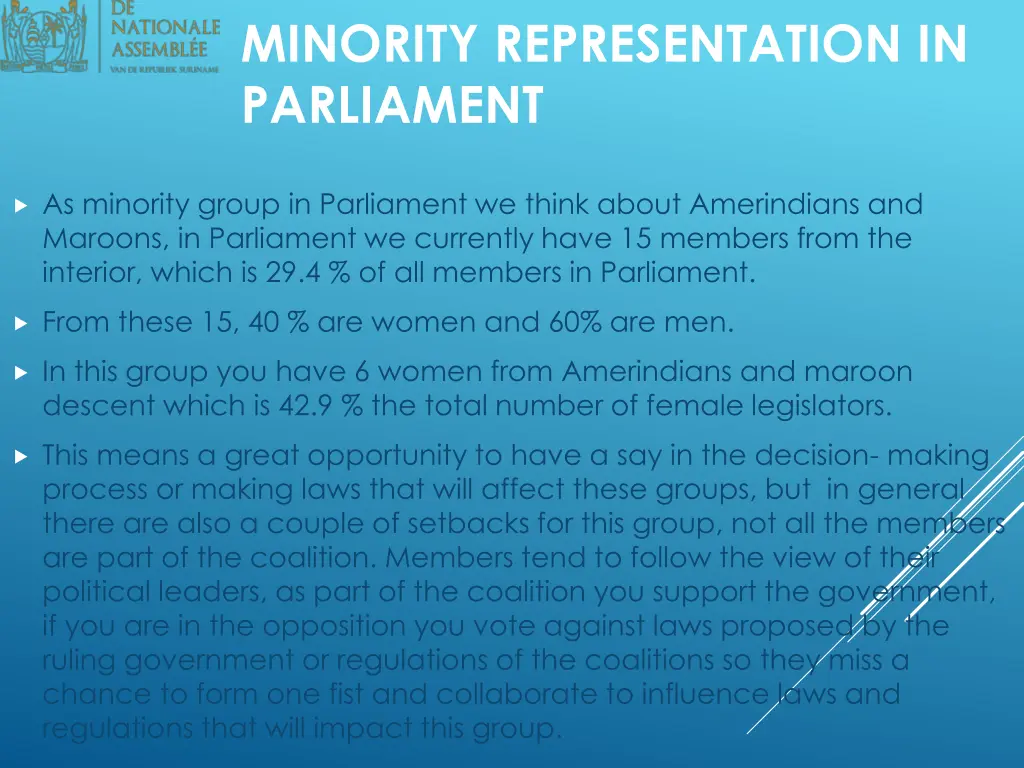 minority representation in parliament