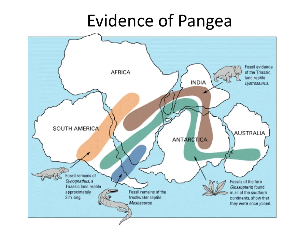 evidence of pangea