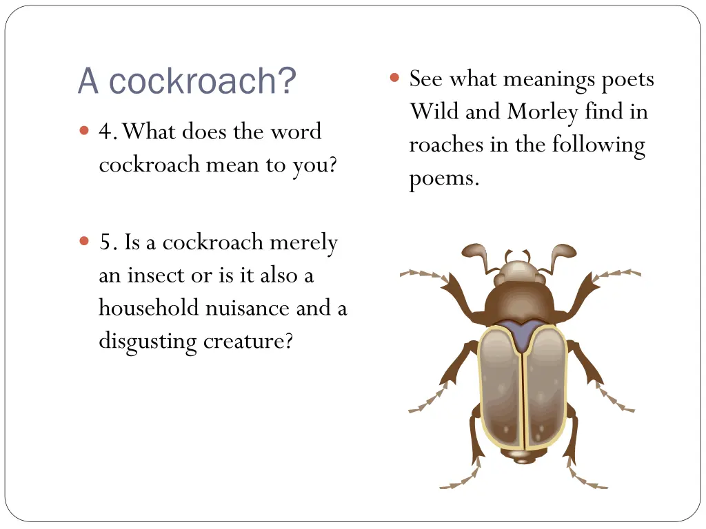 a cockroach