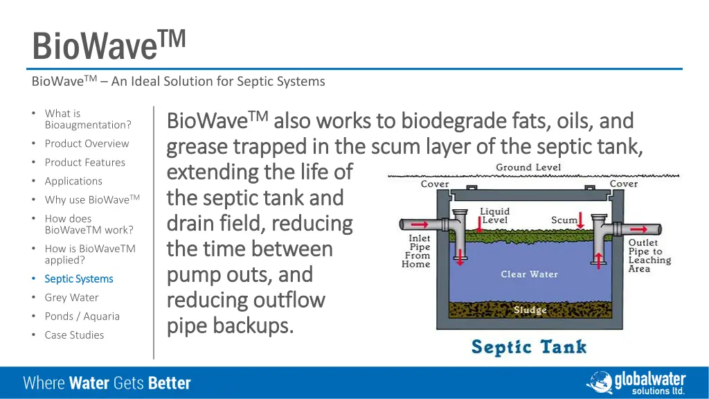 biowave tm biowave tm an ideal solution