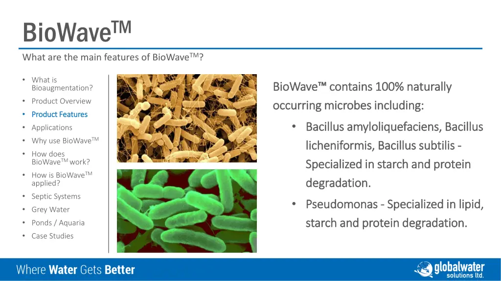 biowave tm what are the main features of biowave 1