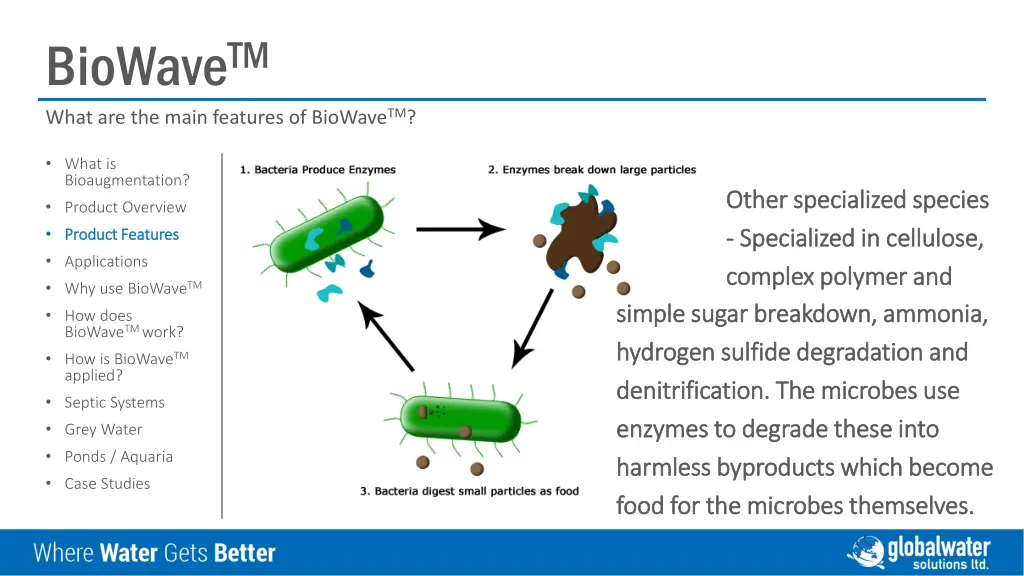 biowave tm what are the main features of biowave 2