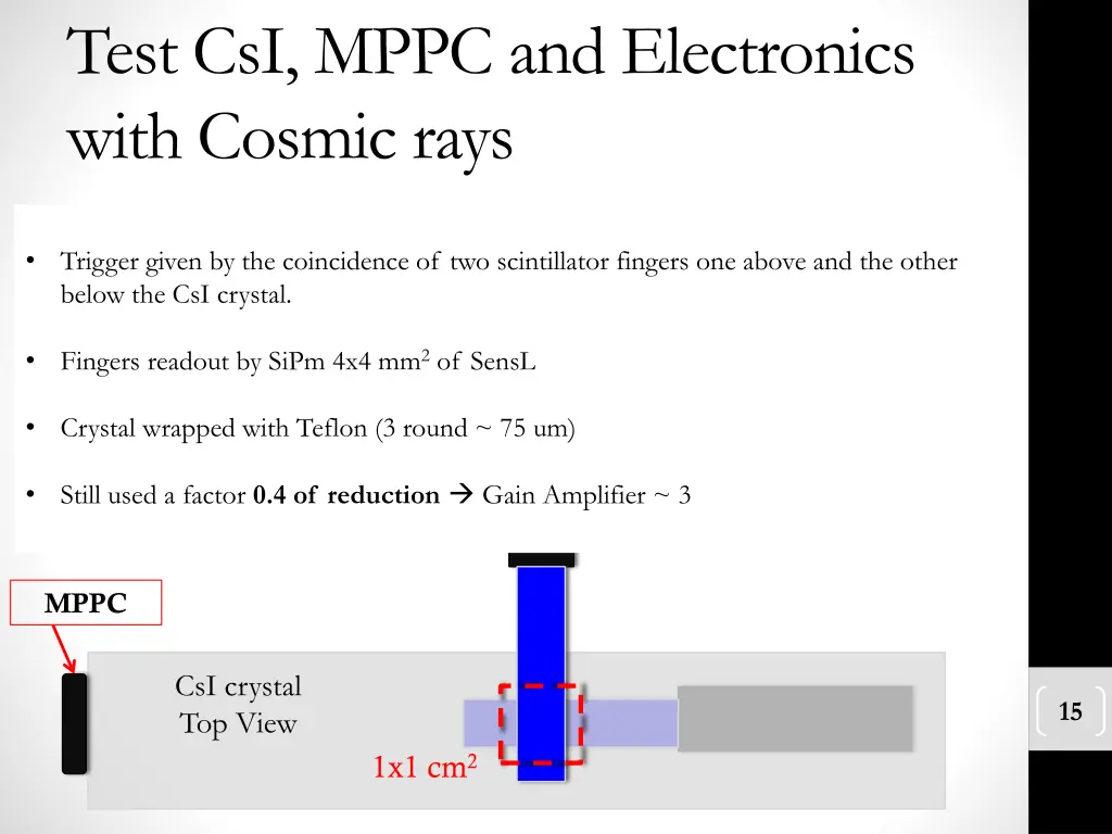 test csi mppc and electronics with cosmic rays