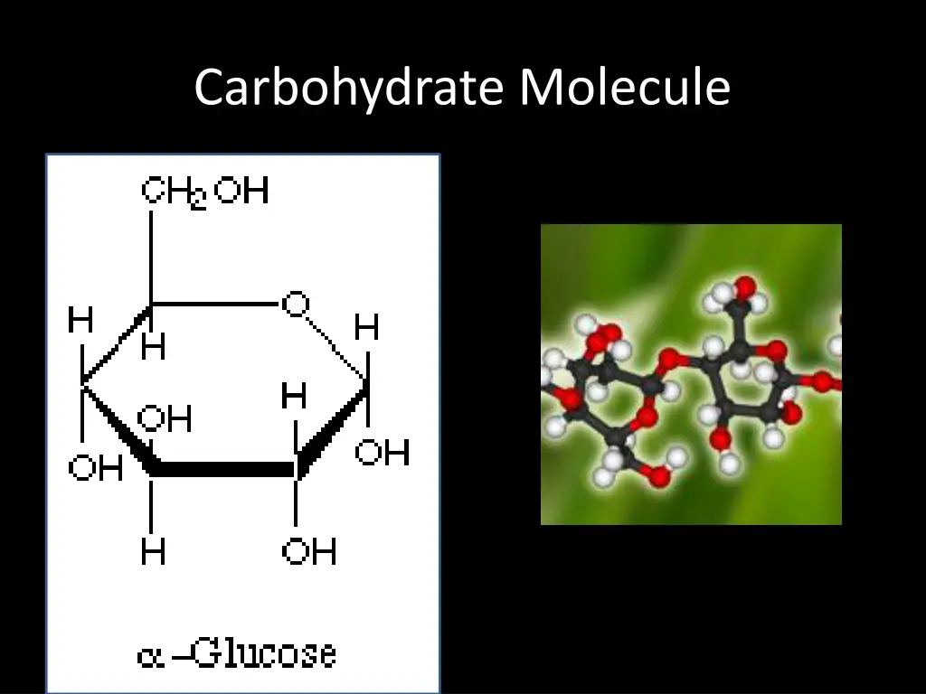 carbohydrate molecule