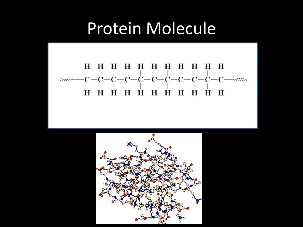 protein molecule