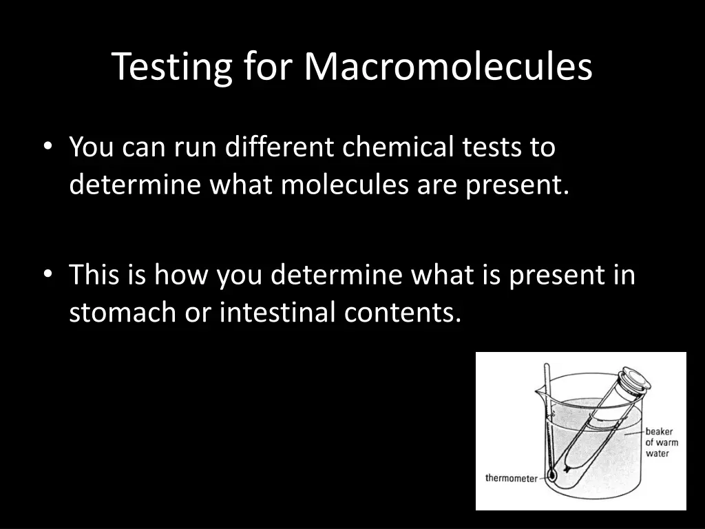 testing for macromolecules