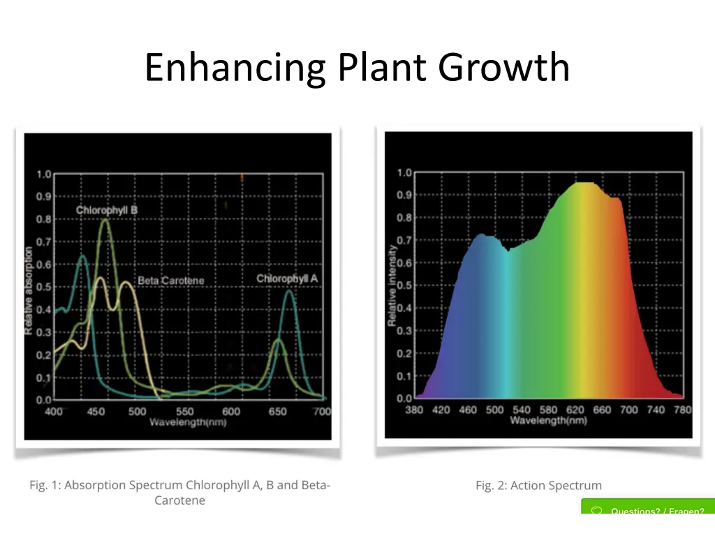 enhancing plant growth