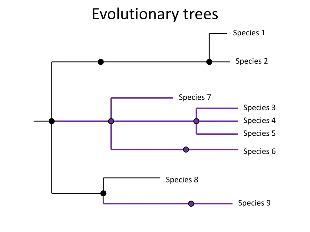 evolutionary trees