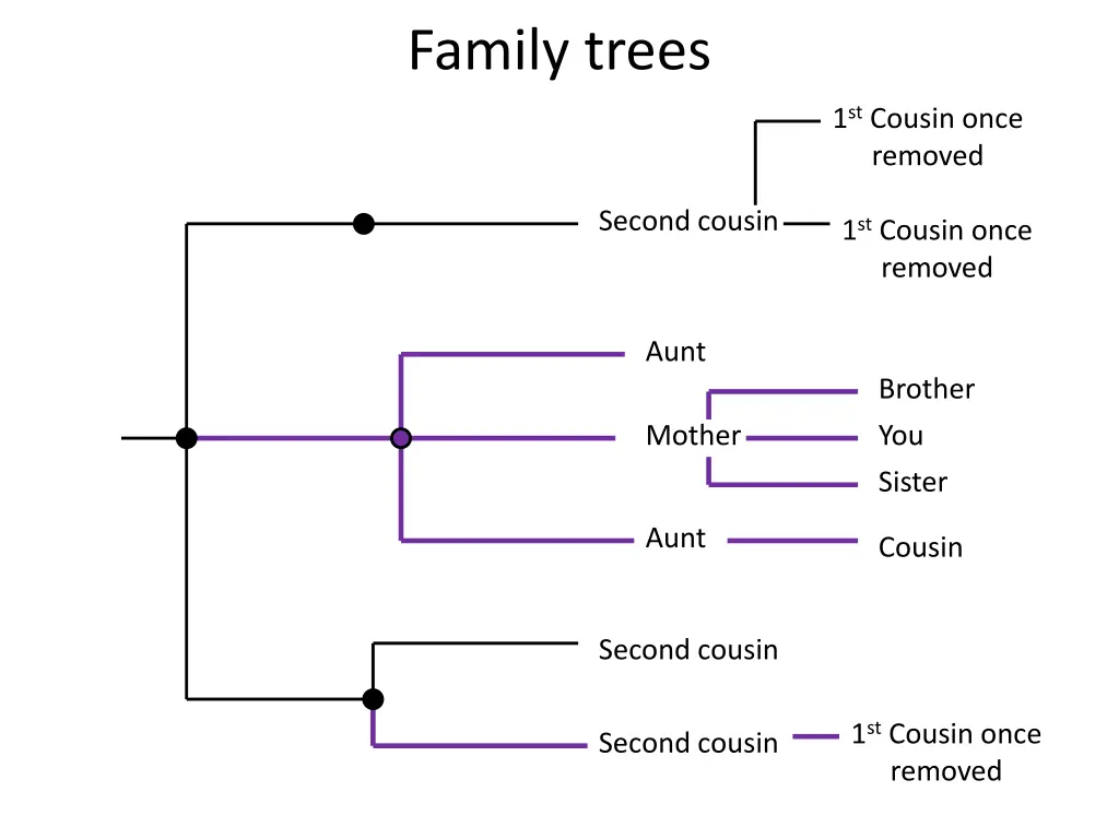 family trees 2