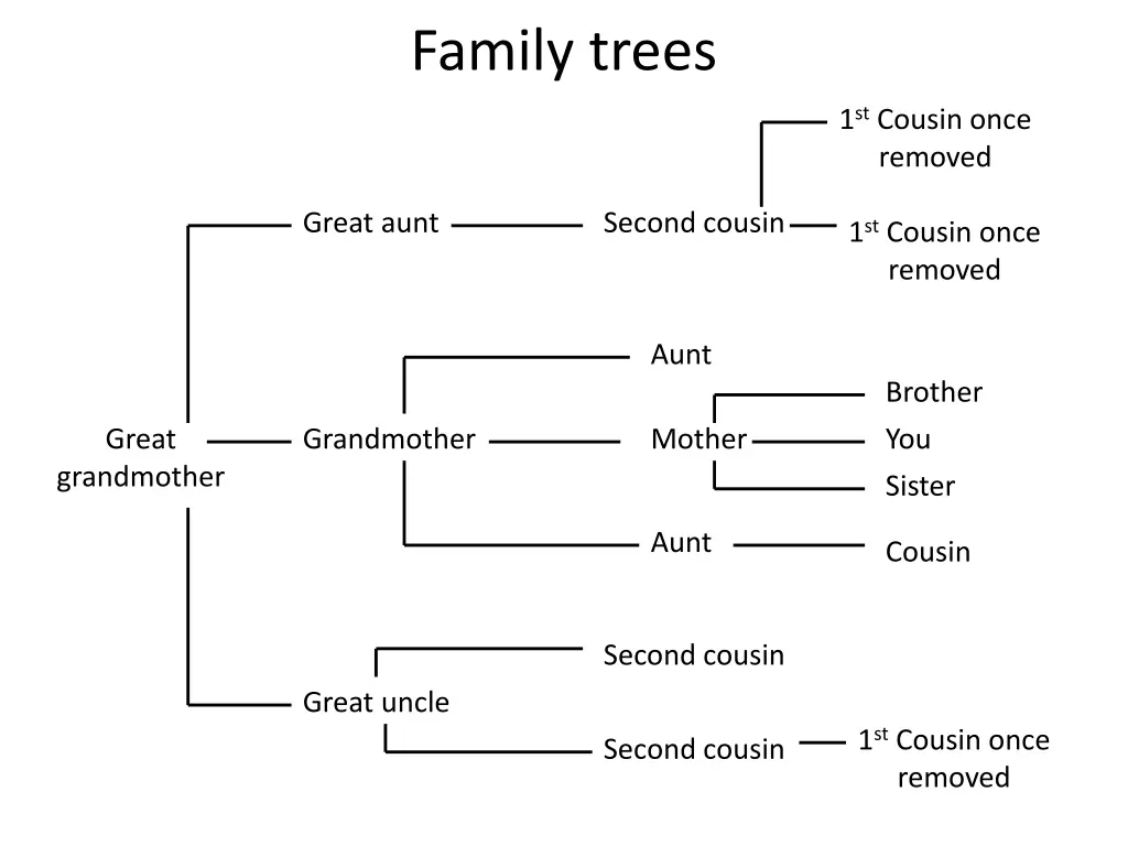 family trees