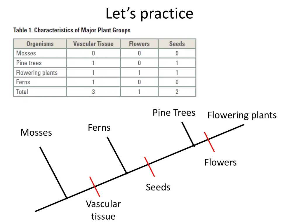 let s practice 1