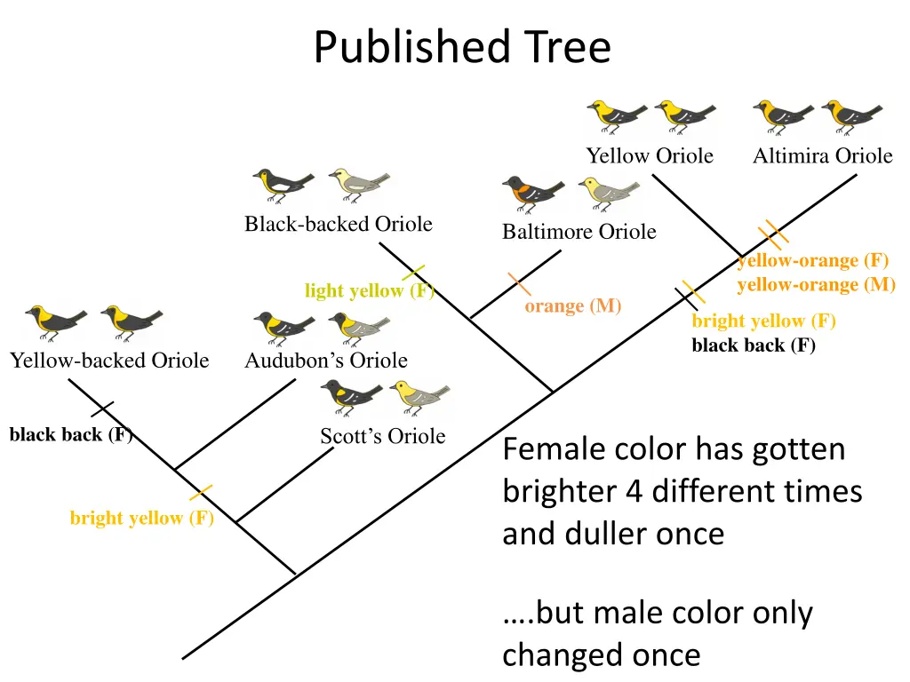 published tree 1