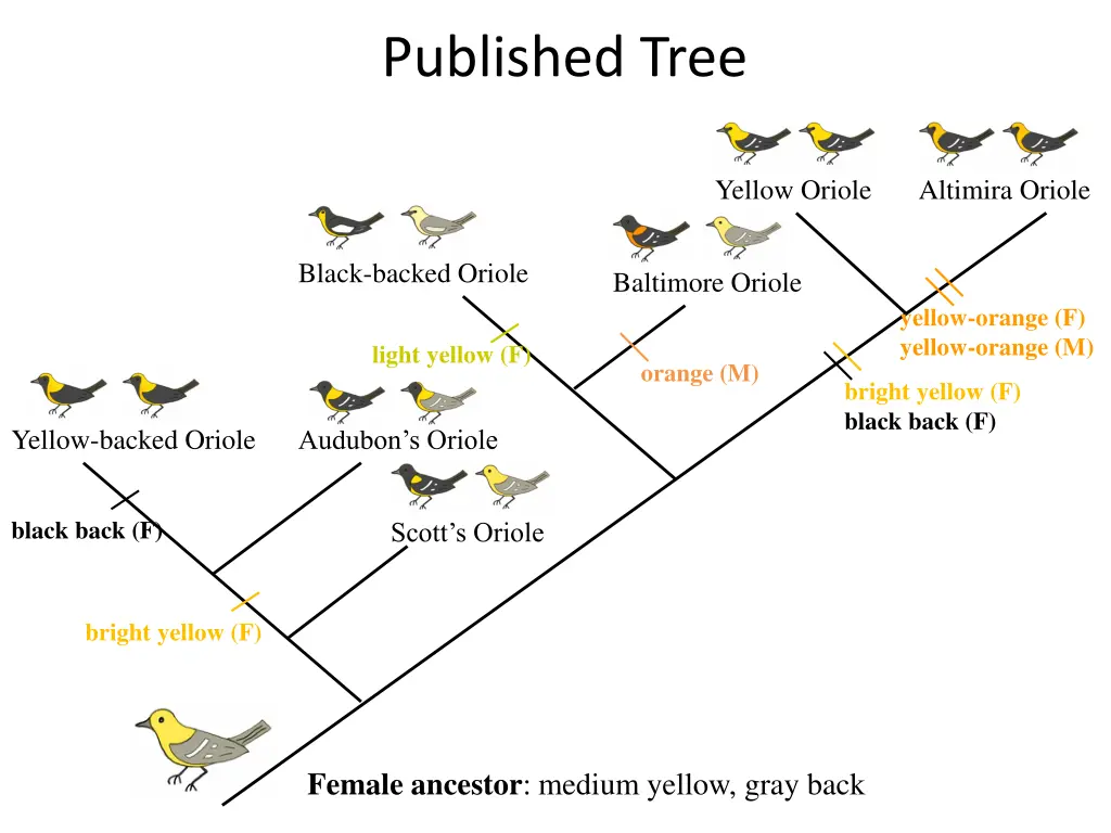 published tree 2