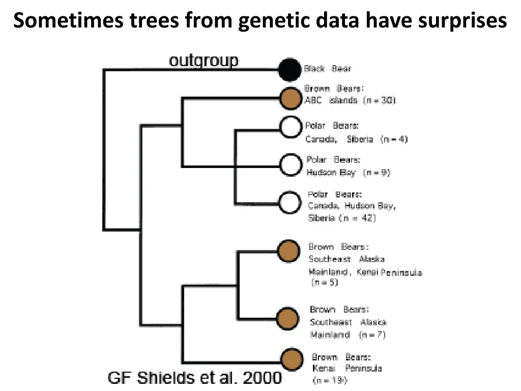 sometimes trees from genetic data have surprises