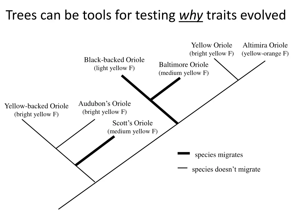 trees can be tools for testing why traits evolved