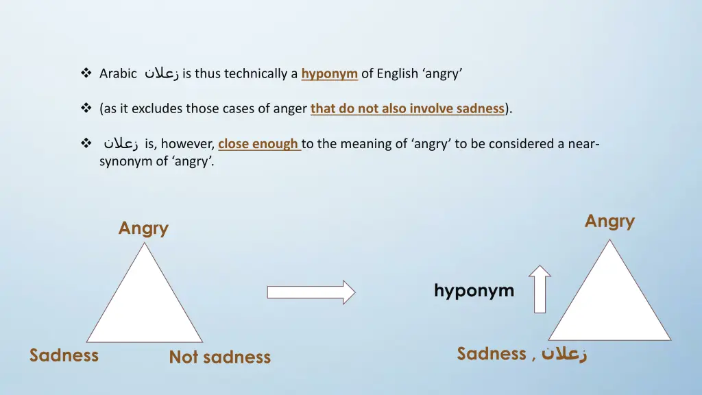 arabic is thus technically a hyponym of english