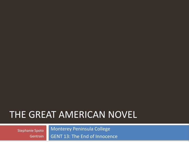 the great american novel