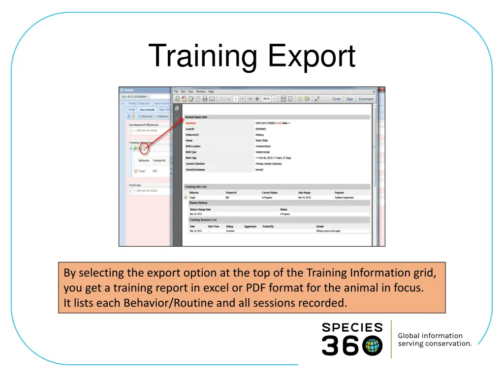 training export