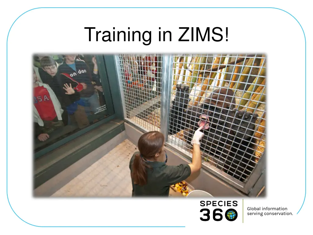 training in zims 1