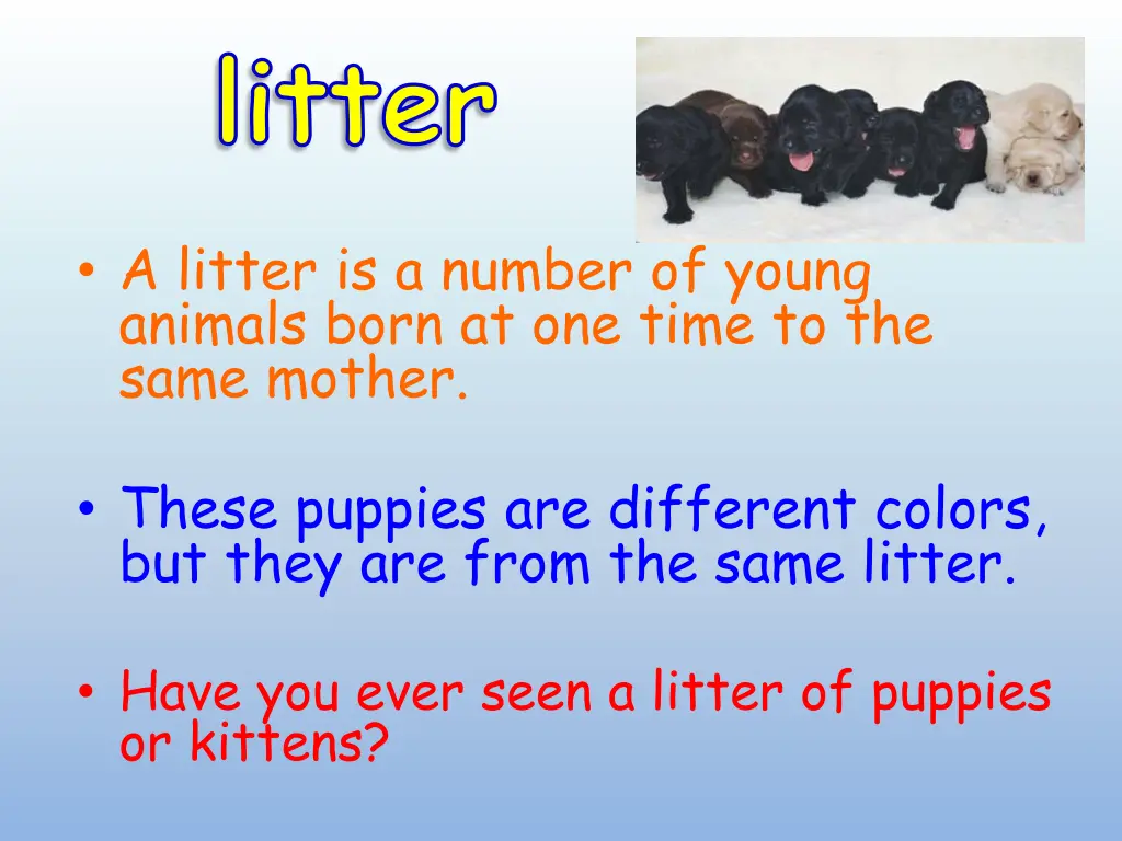 litter