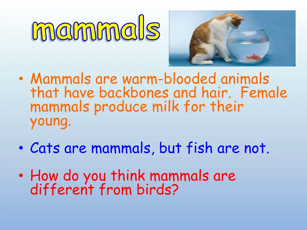 mammals