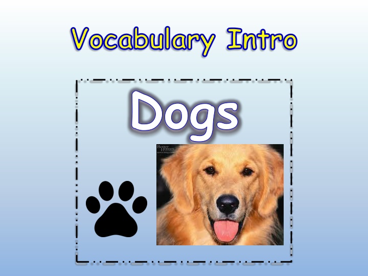 vocabulary intro dogs