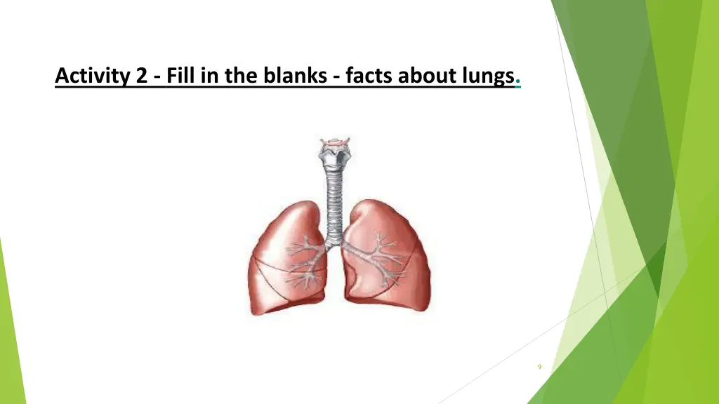 activity 2 fill in the blanks facts about lungs