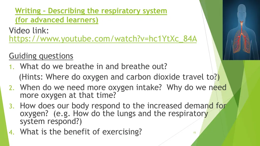 writing describing the respiratory system 1