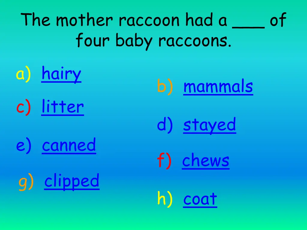 the mother raccoon had a of four baby raccoons