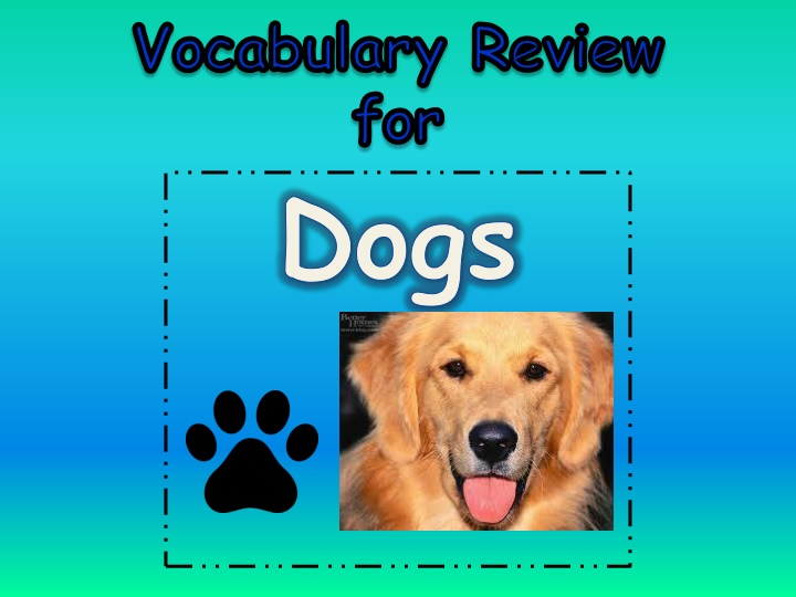 vocabulary review for dogs