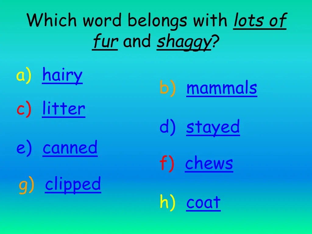 which word belongs with lots of fur and shaggy