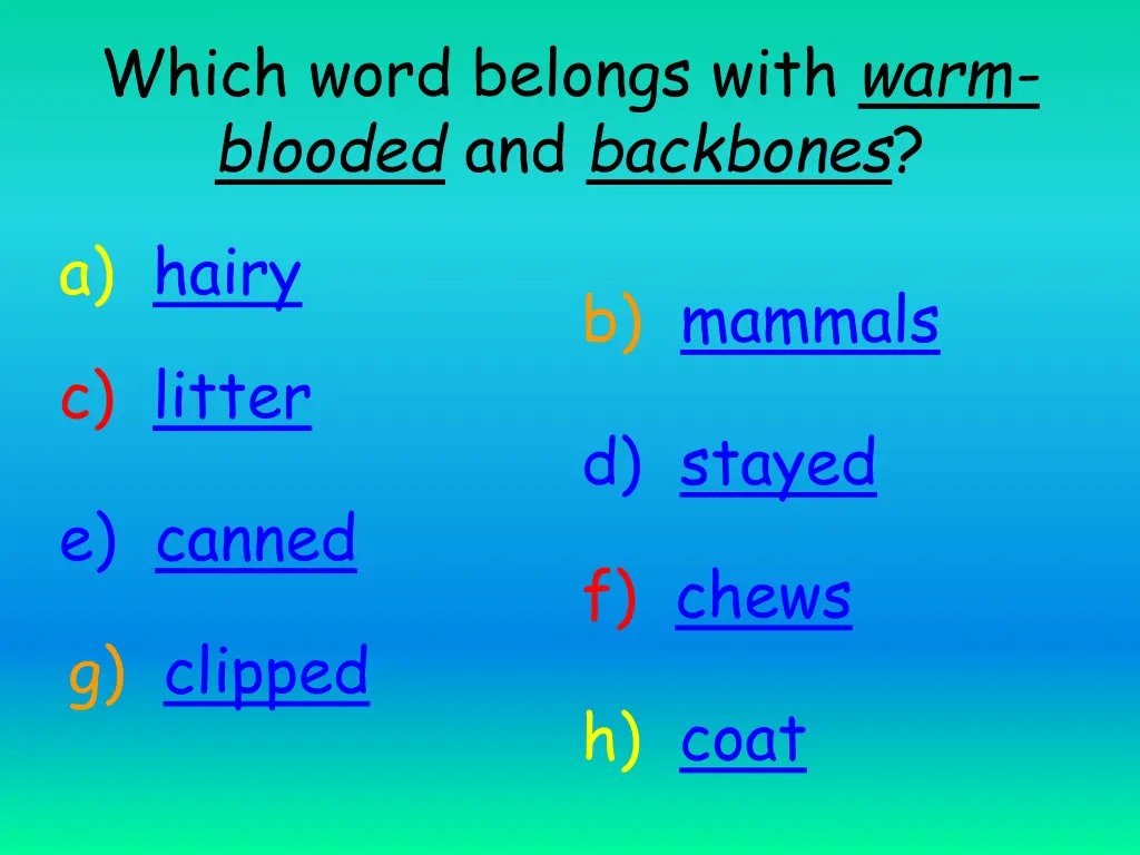 which word belongs with warm blooded and backbones