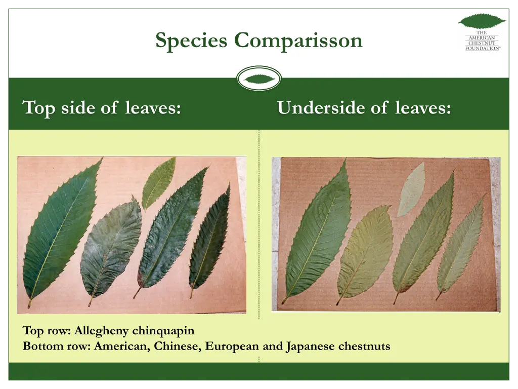 species comparisson