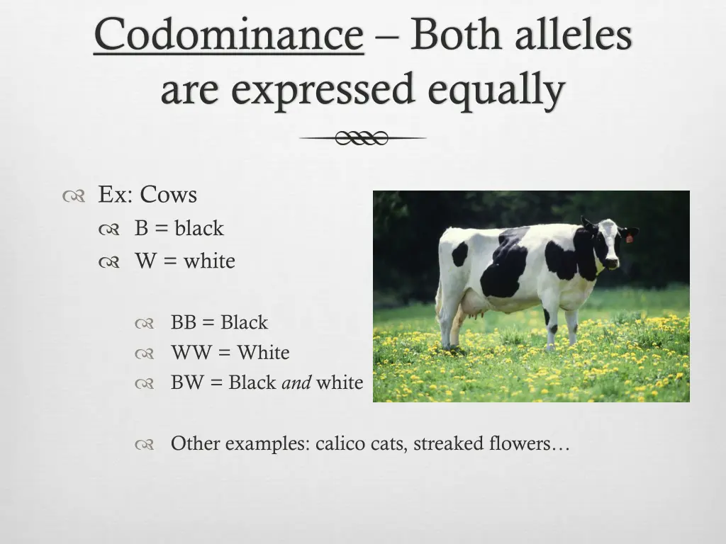 codominance both alleles are expressed equally 2