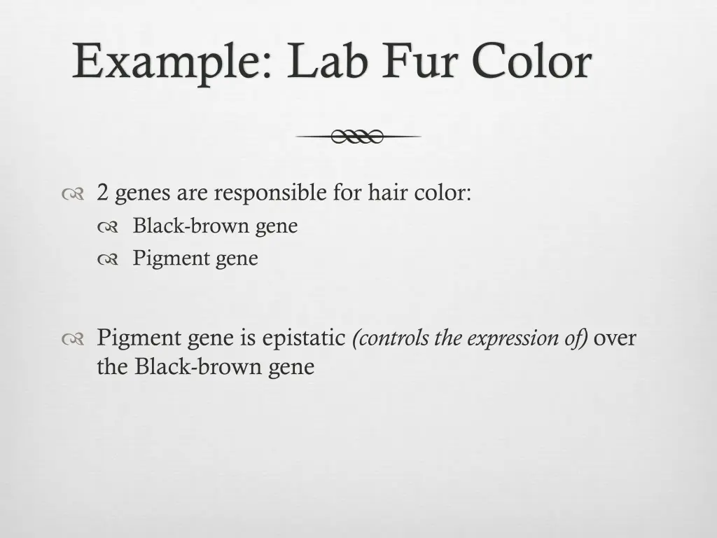 example lab fur color 1