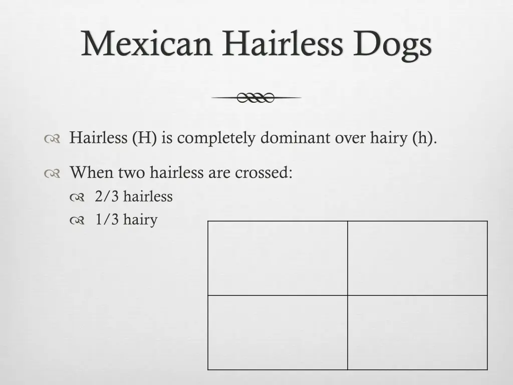 mexican hairless dogs 1