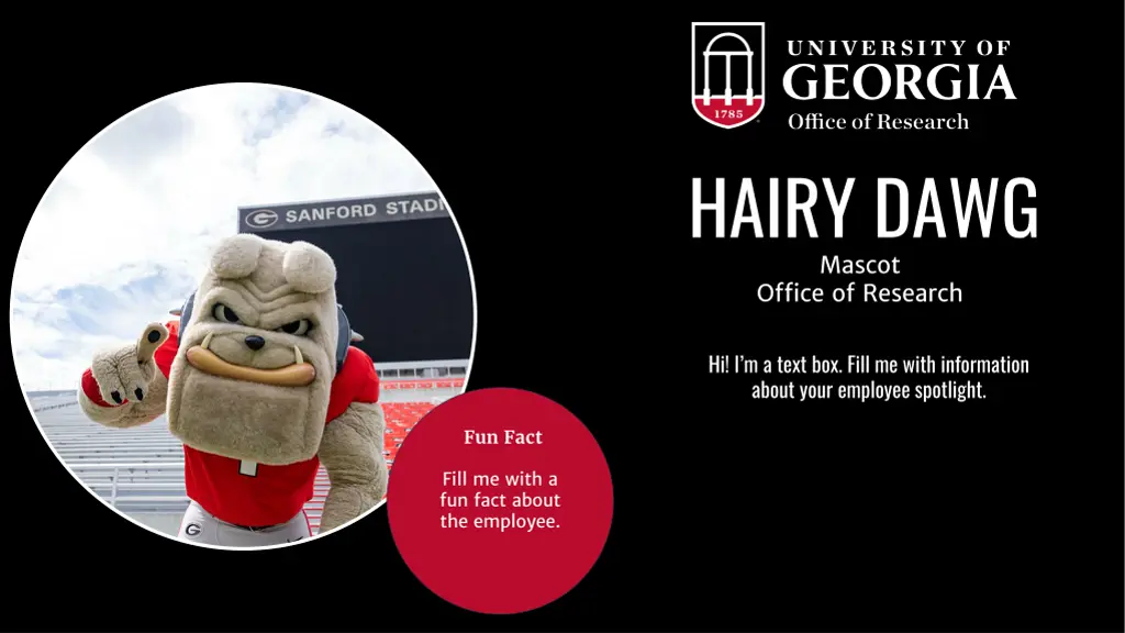 hairy dawg mascot office of research