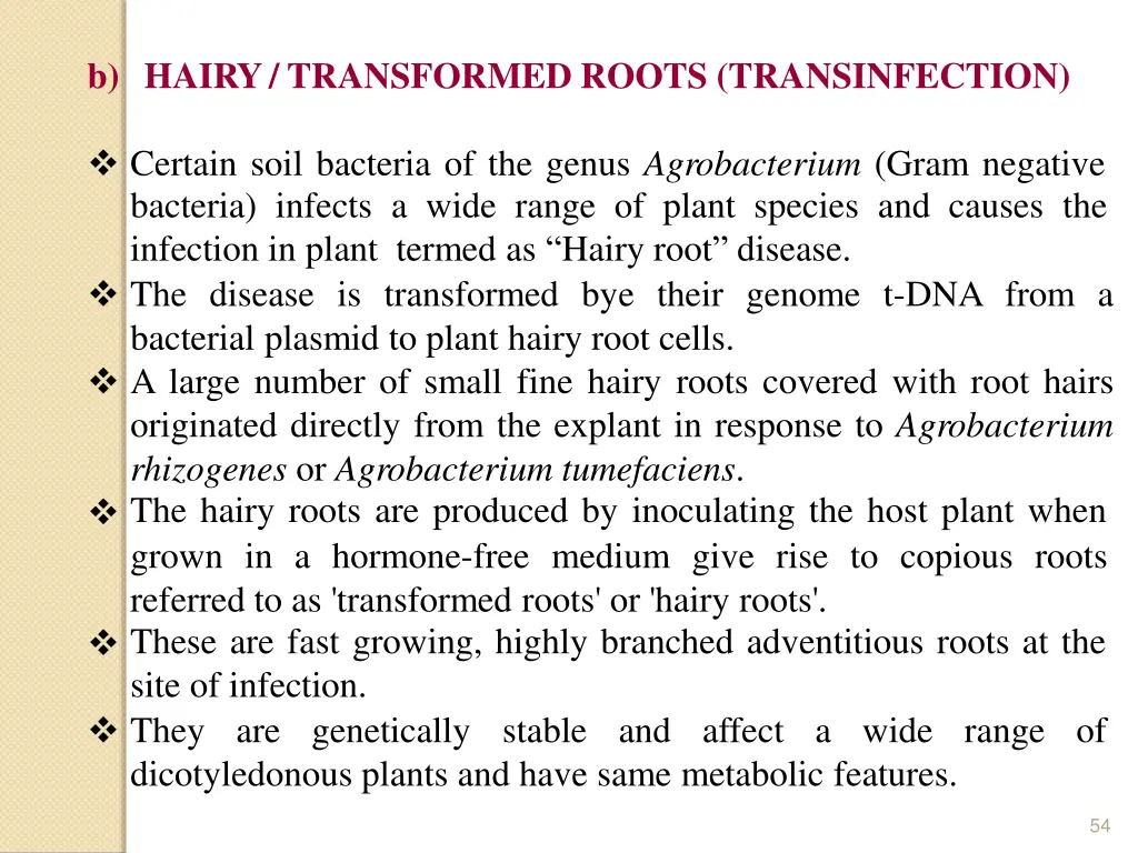 b hairy transformed roots transinfection