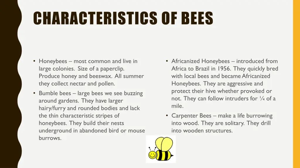 characteristics of bees