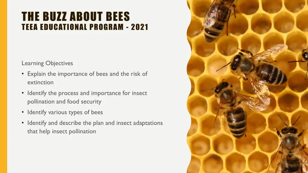 the buzz about bees teea educational program 2021