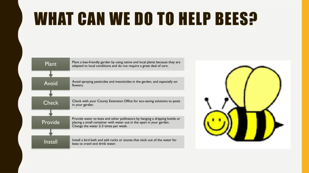 what can we do to help bees