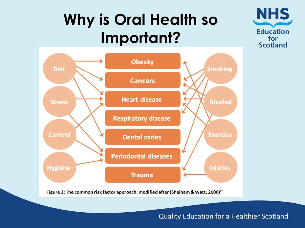 why is oral health so important