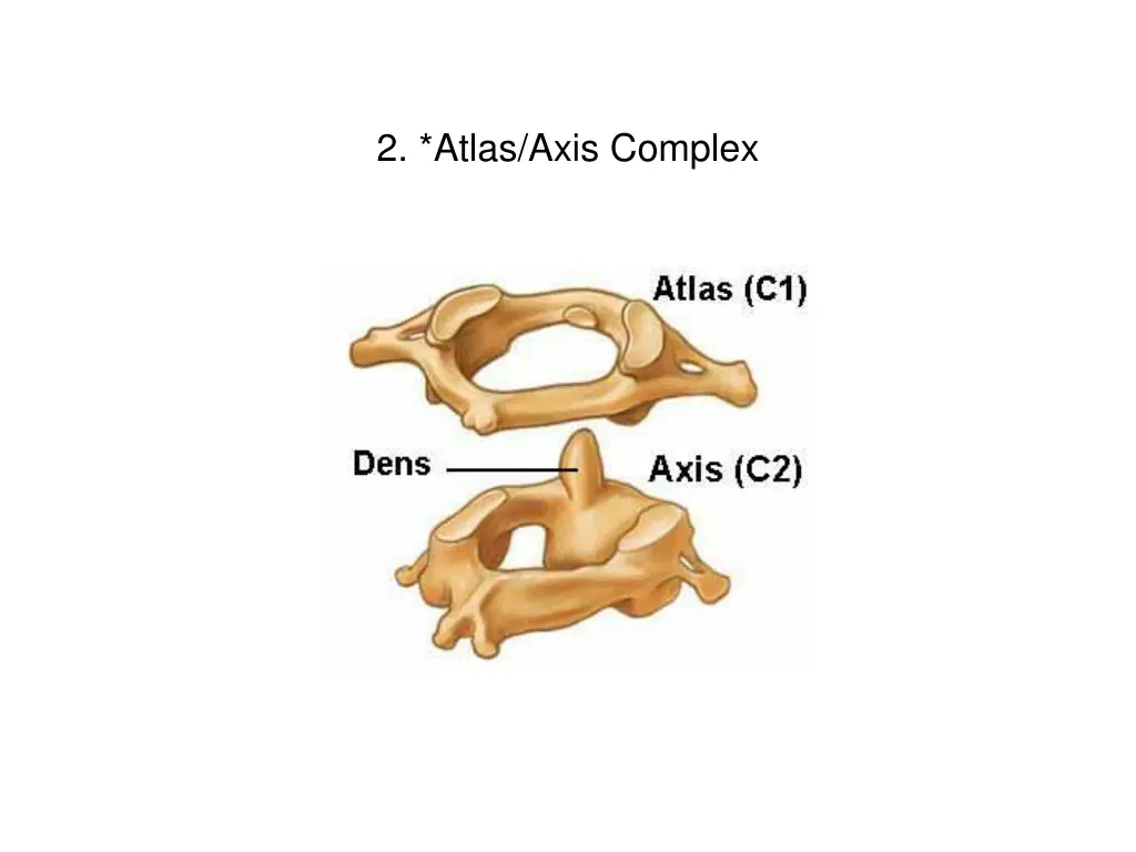 2 atlas axis complex