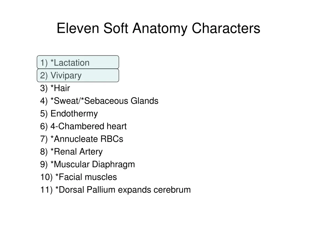 eleven soft anatomy characters