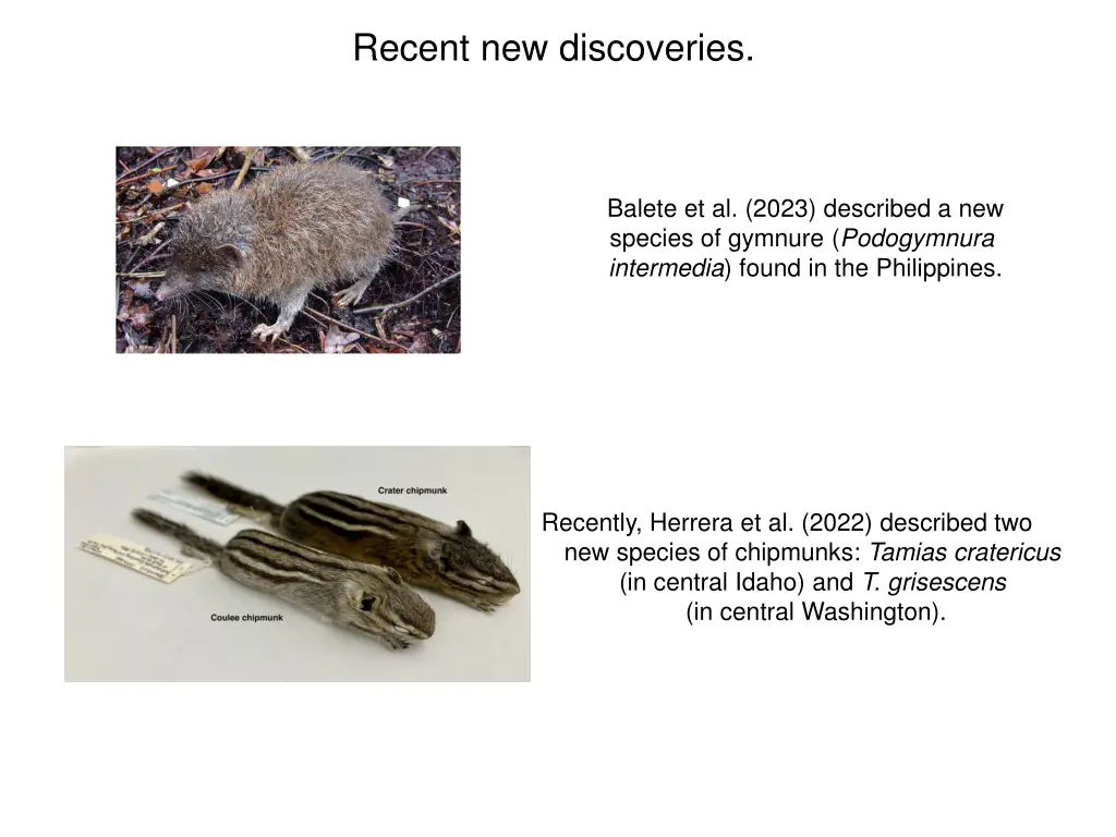 recent new discoveries