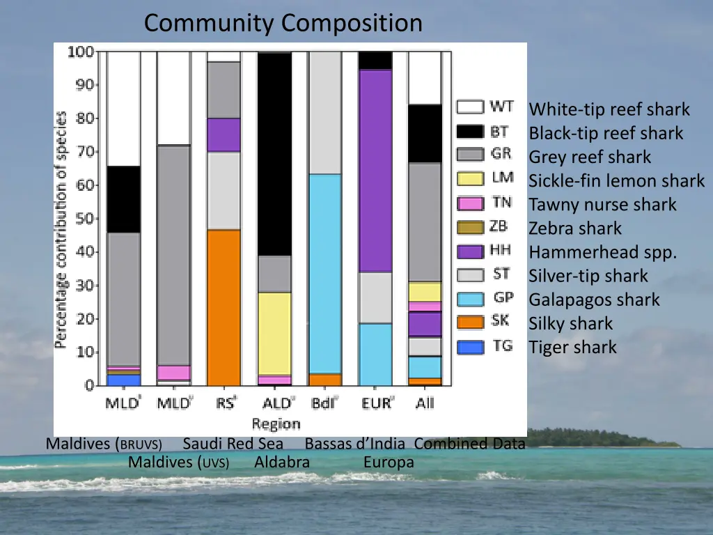 community composition