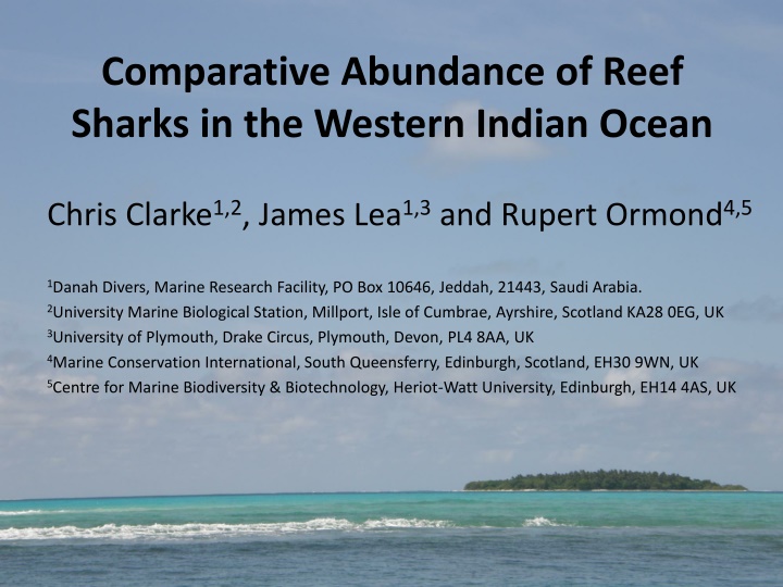 comparative abundance of reef sharks