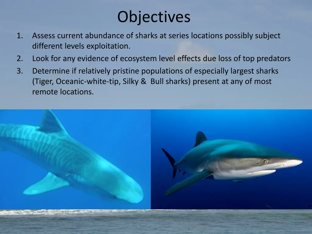 objectives