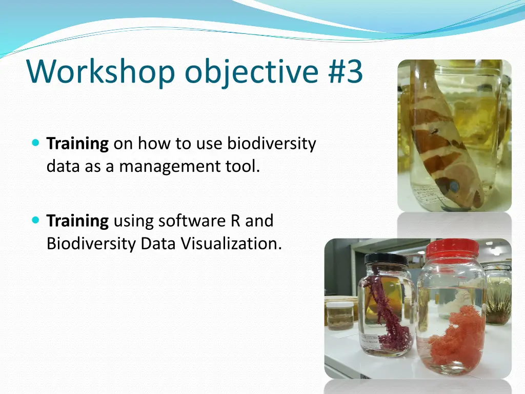 workshop objective 3