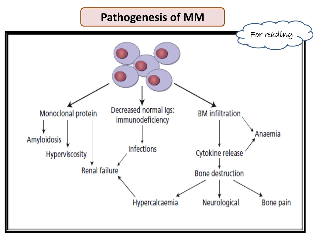 pathogenesis of mm